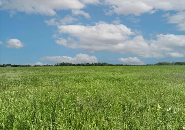 Photo 1 of Land for sale at Tbd 5 Pacen Pl, Chappell Hill, TX 77426 | MLS# 57723541 | Listing updated on 2025-12-16