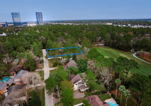 3rd image of 2 Box Turtle Ln, Spring, TX 77380 | MLS# 49188019
