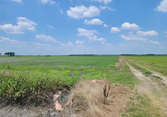 Photo 3 of Land for sale at 0 County Rd 319, Louise, TX 77455 | MLS# 39743977 | Listing updated on 2026-06-29