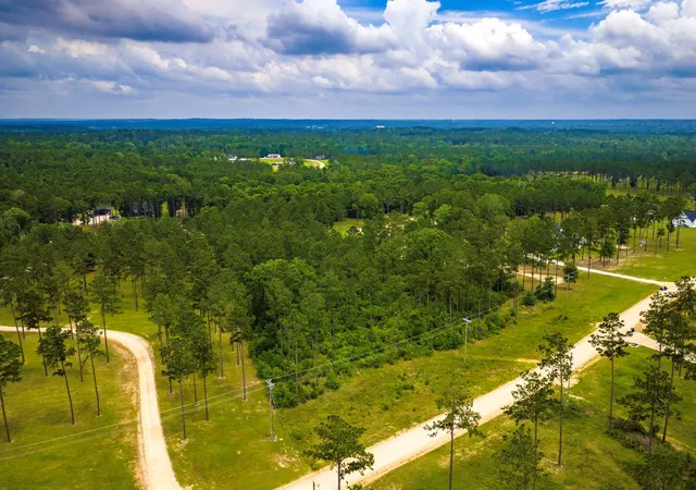 Photo 2 of Land for sale at Tba Red Lowe Rd, Livingston, TX 77351 | MLS# 96047162 | Listing updated on 2026-07-16