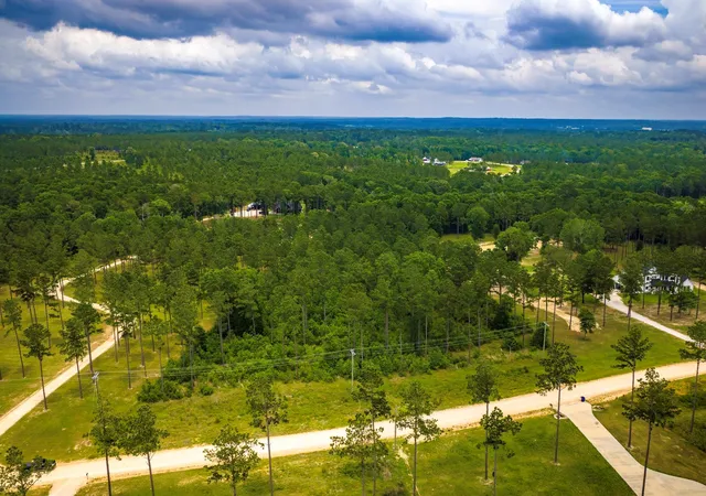 Photo 3 of Land for sale at Tba Red Lowe Rd, Livingston, TX 77351 | MLS# 96047162 | Listing updated on 2026-07-16