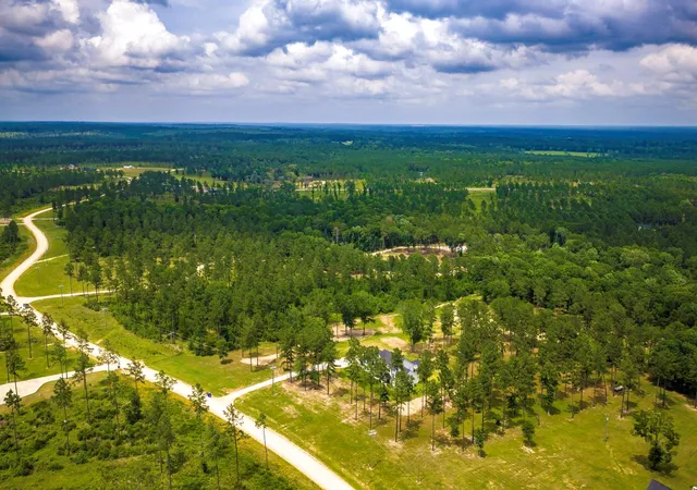 Photo 3 of Land for sale at Tba Red Lowe Rd, Livingston, TX 77351 | MLS# 96047162 | Listing updated on 2026-07-16