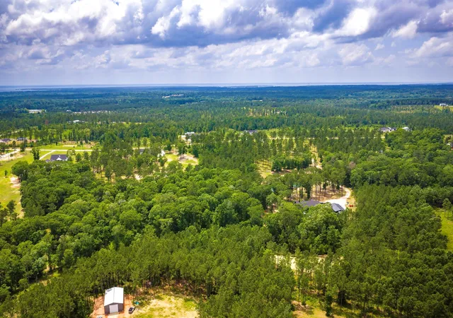 Photo 4 of Land for sale at Tba Red Lowe Rd, Livingston, TX 77351 | MLS# 96047162 | Listing updated on 2026-07-16