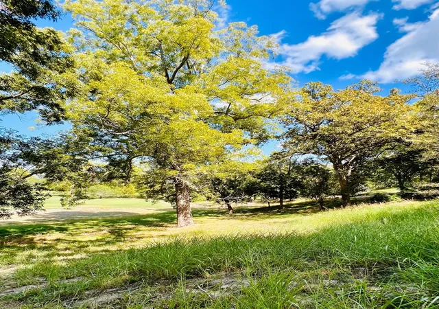 Photo 1 of Land for sale at Tbd Country Club Ct, La Grange, TX 78945 | MLS# 41813662 | Listing updated on 2026-09-03