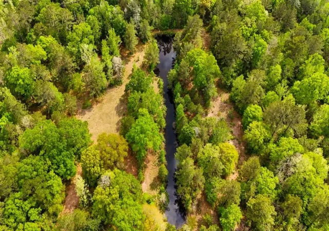 Photo 2 of Sale Pending at 000 County Rd 4630 N, Spurger, TX 77660 | MLS# 44875524 | Listing updated on 2026-08-27