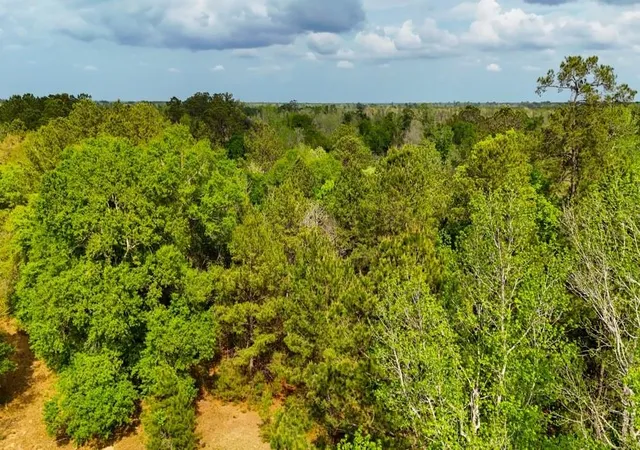 Photo 4 of Sale Pending at 000 County Rd 4630 N, Spurger, TX 77660 | MLS# 44875524 | Listing updated on 2026-08-27