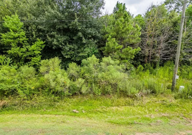 Photo 4 of Land for sale at 373 County Rd 3417, Cleveland, TX 77327 | MLS# 15104924 | Listing updated on 2026-08-01