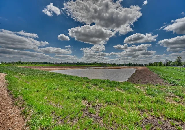 Photo 2 of Land for sale at 0000 Bartlett Rd, Sealy, TX 77474 | MLS# 62257024 | Listing updated on 2026-08-13