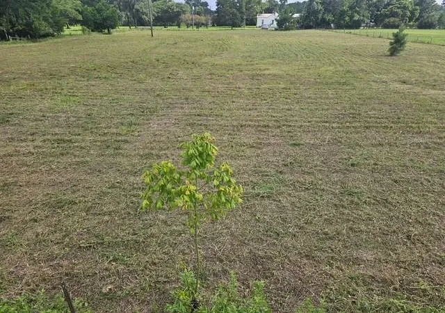 Photo 3 of Land for sale at 0000 Kimberly Tr, Conroe, TX 77304 | MLS# 40945184 | Listing updated on 2026-07-06
