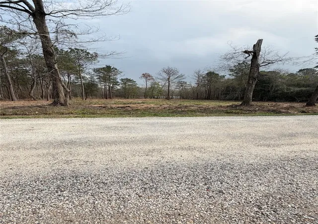 1st image of 0 Dogwood Trl, Shepherd, TX 77371 | MLS# 18176047