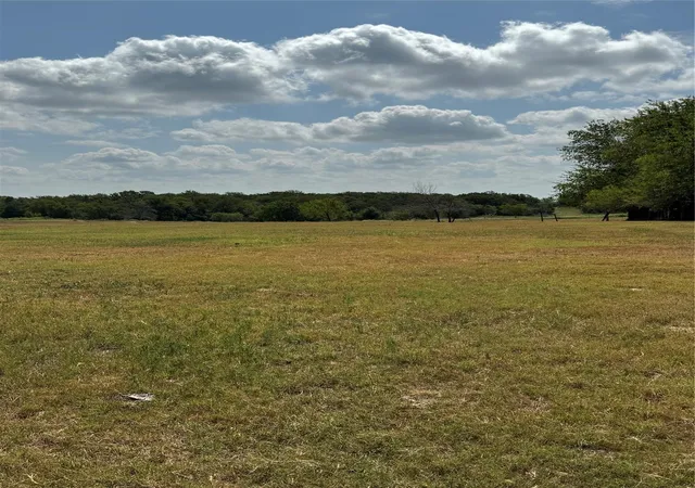 Photo 2 of Land for sale at Tract 3 Fm 3060, Midway, TX 75852 | MLS# 95915924 | Listing updated on 2026-08-05