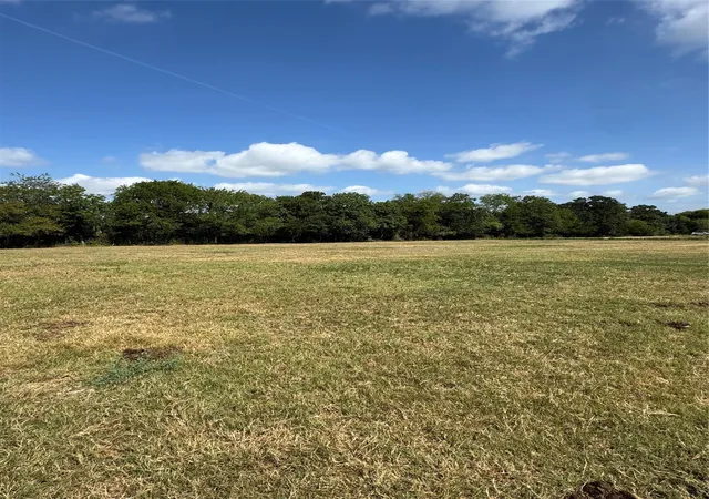 Photo 4 of Land for sale at Tract 3 Fm 3060, Midway, TX 75852 | MLS# 95915924 | Listing updated on 2026-08-05