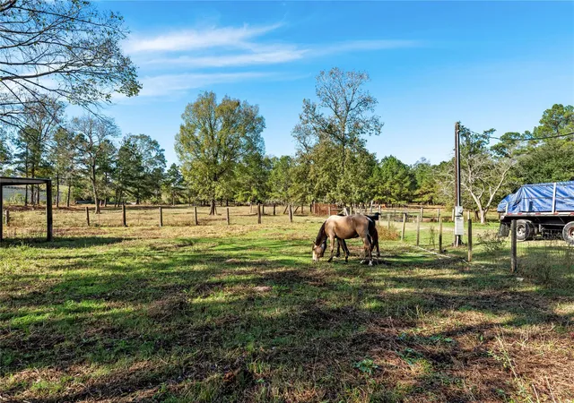Photo 4 of Land for sale at 32130 Cypress Holw Dr, New Caney, TX 77357 | MLS# 14983150 | Listing updated on 2026-01-30