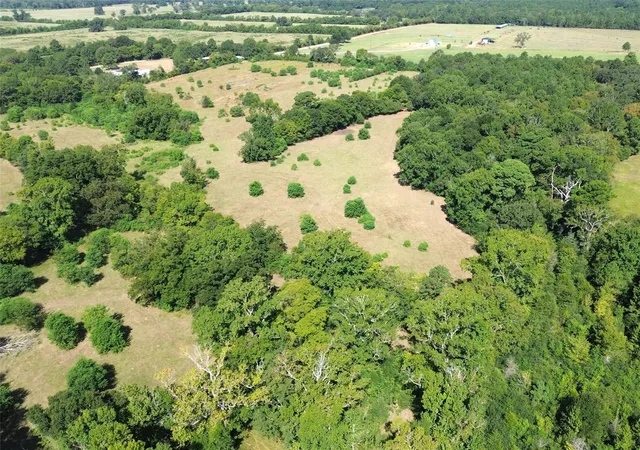 3rd image of Tbd E State Hwy 21, Crockett, TX 75835 | MLS# 15752997