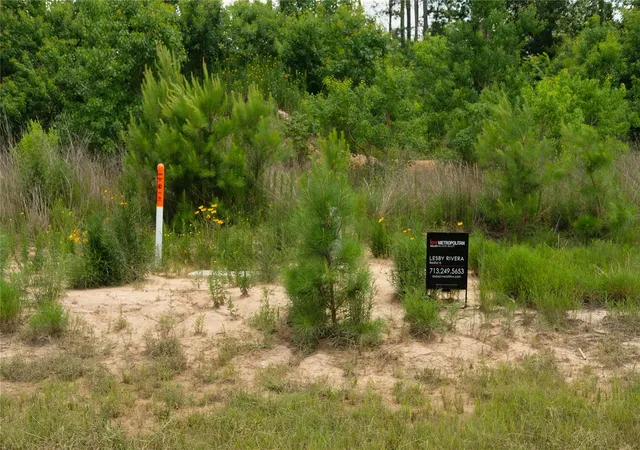 1st image of 4084 Road 5872, New Caney, TX 77357 | MLS# 40454859