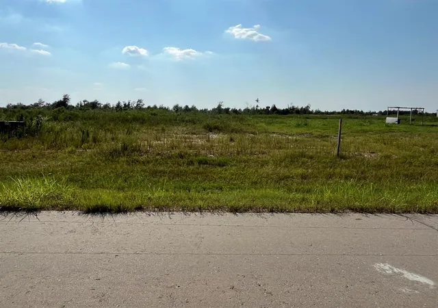 Photo 1 of Land for sale at 1317 Road 5507, New Caney, TX 77357 | MLS# 55318117 | Listing updated on 2026-09-09