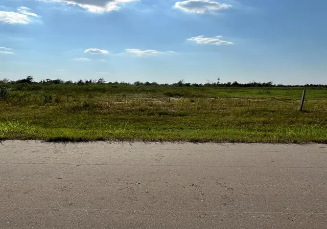 Photo 3 of Land for sale at 1317 Road 5507, New Caney, TX 77357 | MLS# 55318117 | Listing updated on 2026-09-09