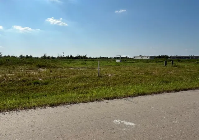 Photo 3 of Land for sale at 1317 Road 5507, New Caney, TX 77357 | MLS# 55318117 | Listing updated on 2026-09-09