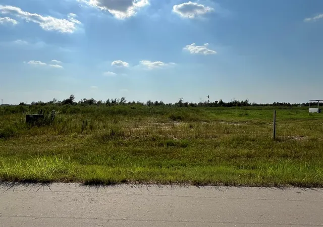 Photo 4 of Land for sale at 1317 Road 5507, New Caney, TX 77357 | MLS# 55318117 | Listing updated on 2026-09-09