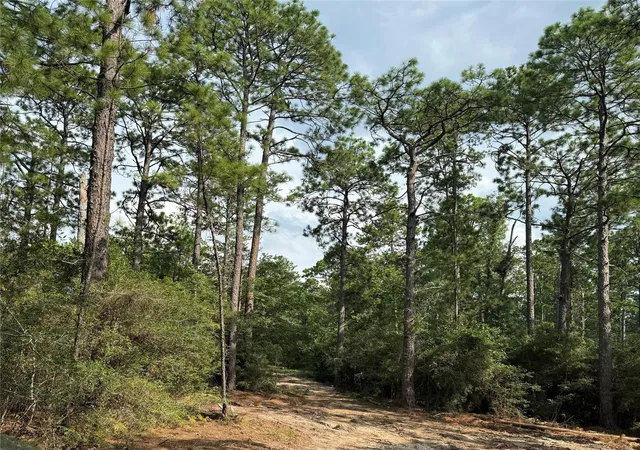 13th image of 565 Sparkleberry Dr, Brookeland, TX 75931 | MLS# 14225418