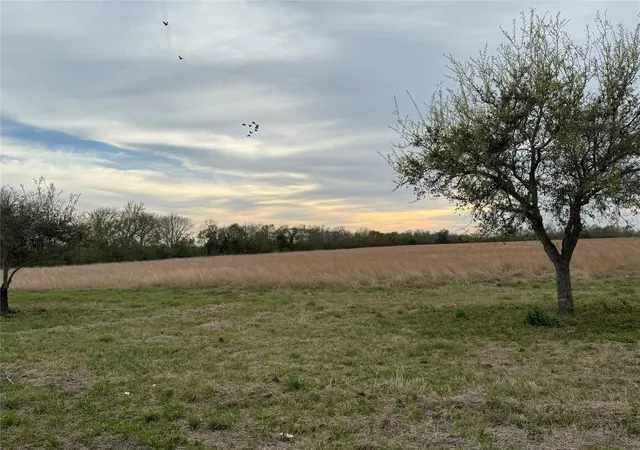 1st image of 0 County Road 46, Danbury, TX 77534 | MLS# 15249518