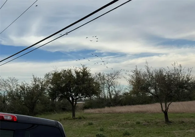 4th image of 0 County Road 46, Danbury, TX 77534 | MLS# 15249518