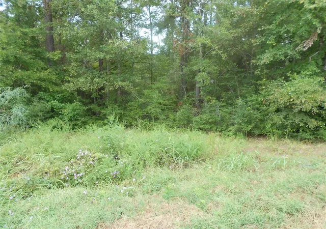 1st image of 957 N Fm 356, Onalaska, TX 77360 | MLS# 85630434