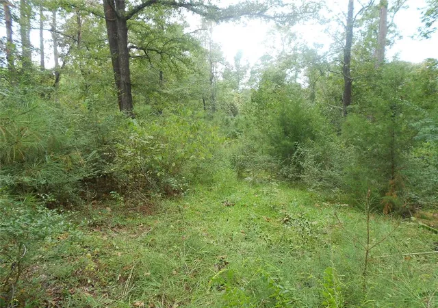 3rd image of 957 N Fm 356, Onalaska, TX 77360 | MLS# 85630434