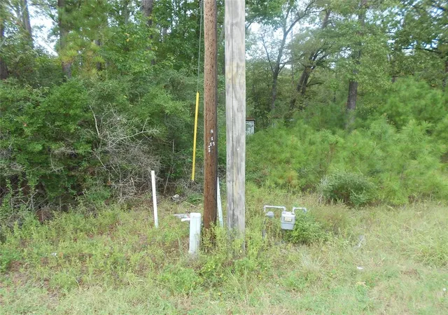 7th image of 957 N Fm 356, Onalaska, TX 77360 | MLS# 85630434