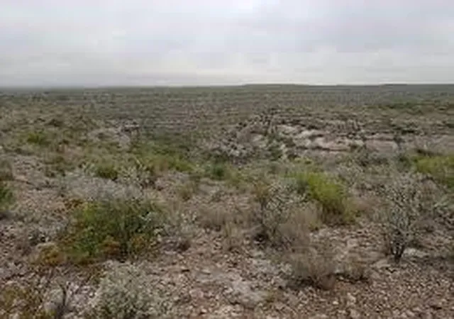 Homes for sale in Dryden, TX | 0 Tract 1, Dryden, TX 78851 | MLS# 56810929