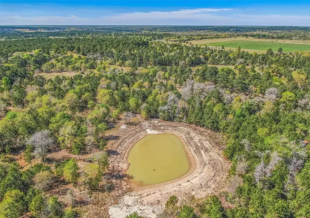 Homes for sale in Bedias, TX | 3656 Luthe Rd, Bedias, TX 77831 | MLS# 53630932