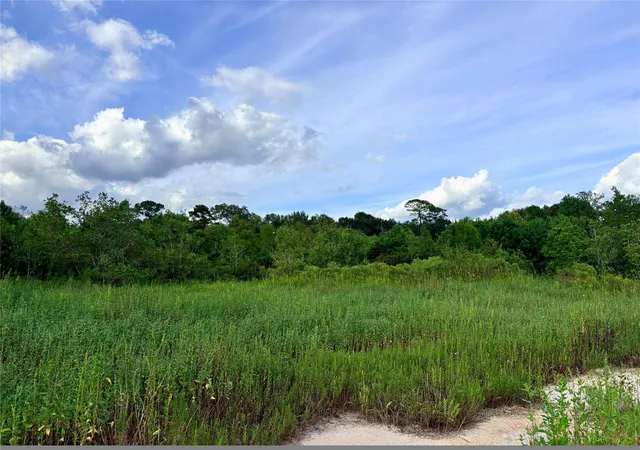 Photo 4 of Land for sale at 7535 Tx 61, Hankamer, TX 77560 | MLS# 90544940 | Listing updated on 2026-09-28