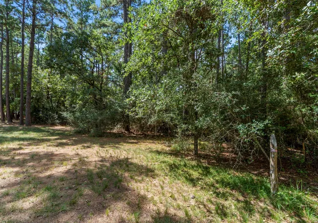 Photo 3 of Land for sale at 37432 Clubhouse Ln, Magnolia, TX 77355 | MLS# 21124255 | Listing updated on 2026-07-22