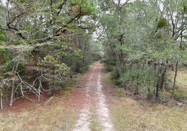 1st image of Tbd Percy Howard Road, Huntsville, TX 77320 | MLS# 64170431