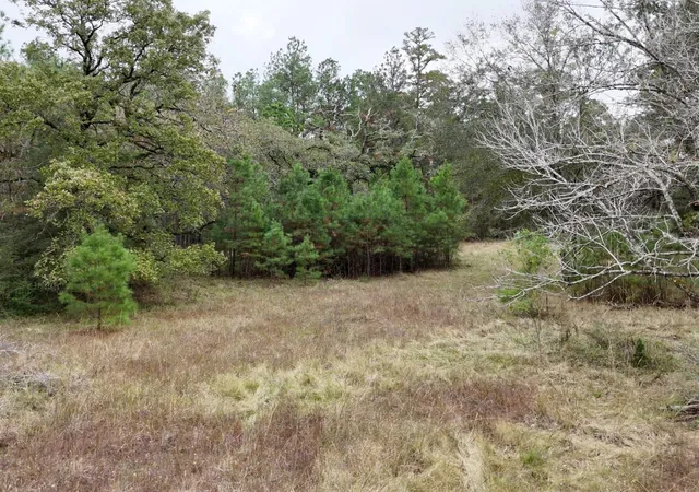 2nd image of Tbd Percy Howard Road, Huntsville, TX 77320 | MLS# 64170431
