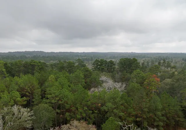 3rd image of Tbd Percy Howard Road, Huntsville, TX 77320 | MLS# 64170431