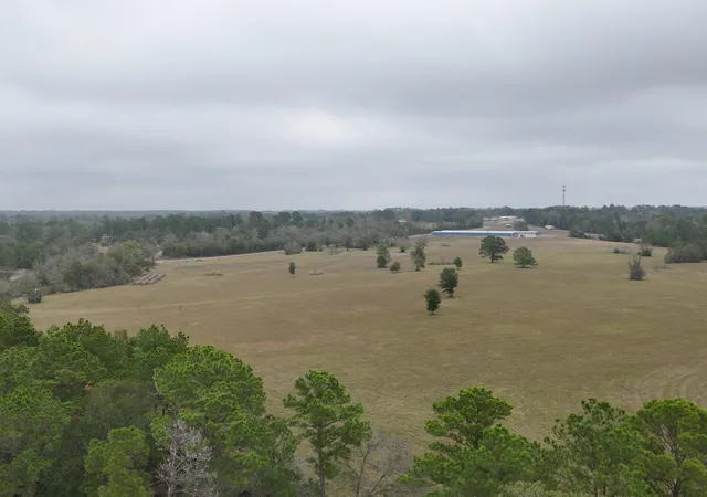 5th image of Tbd Percy Howard Road, Huntsville, TX 77320 | MLS# 64170431