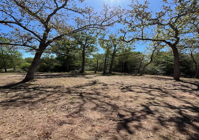 3rd image of 409 Bengals Bend, Somerville, TX 77879 | MLS# 47262433