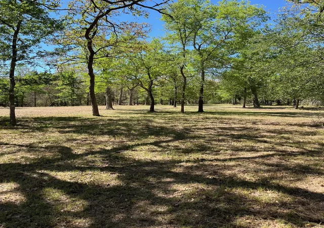 5th image of 409 Bengals Bend, Somerville, TX 77879 | MLS# 47262433