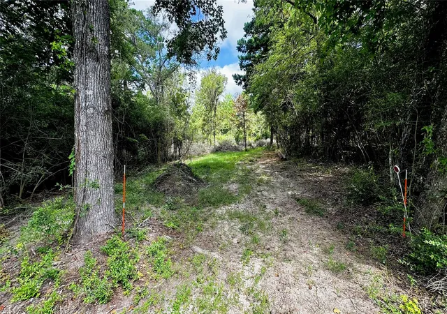 1st image of 7103 Fm 3178, Centerville, TX 75833 | MLS# 49555968