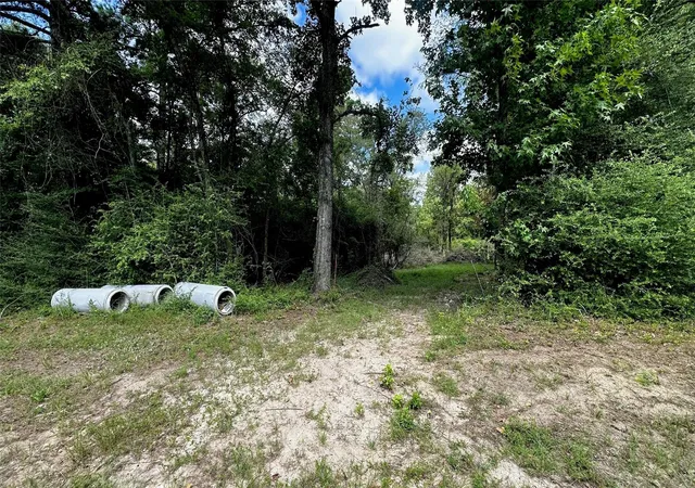 3rd image of 7103 Fm 3178, Centerville, TX 75833 | MLS# 49555968