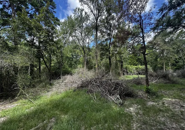 4th image of 7103 Fm 3178, Centerville, TX 75833 | MLS# 49555968