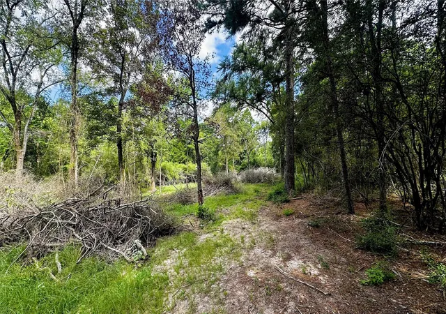 5th image of 7103 Fm 3178, Centerville, TX 75833 | MLS# 49555968