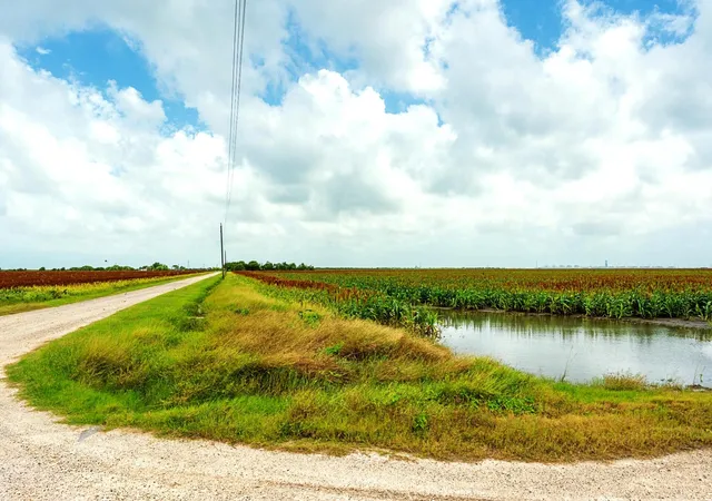 Homes for sale in Aransas Pass, TX | 0 County Road 1724, Aransas Pass, TX 78336 | MLS# 97656818