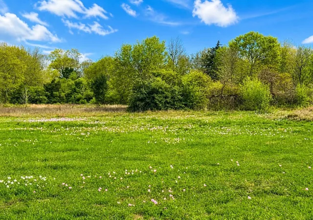 Photo 1 of Sale Pending at Tbd W Fm 1161, Wharton, TX 77488 | MLS# 70175604 | Listing updated on 2026-09-01