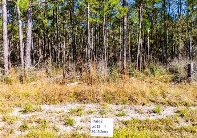 5th image of 0212 Fm 3459 Rd, Onalaska, TX 77360 | MLS# 58952613