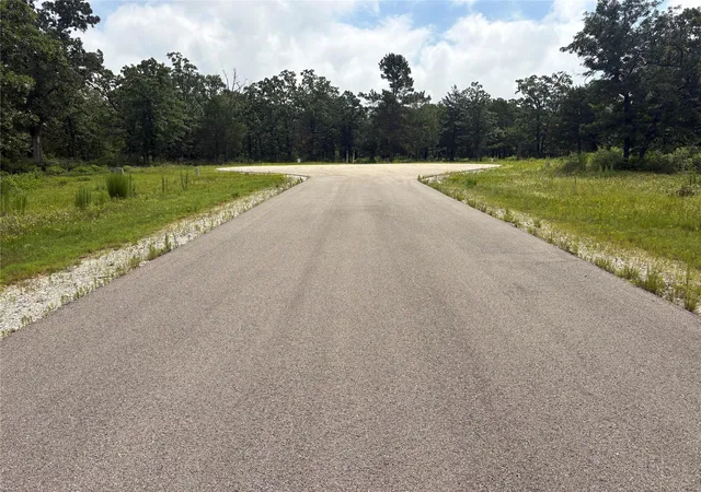 Photo 3 of Land for sale at 123 Acres Fm 489 E, Fairfield, TX 75840 | MLS# 48359506 | Listing updated on 2026-06-22