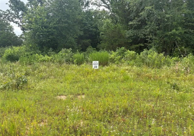 Photo 4 of Land for sale at 123 Acres Fm 489 E, Fairfield, TX 75840 | MLS# 48359506 | Listing updated on 2026-06-22