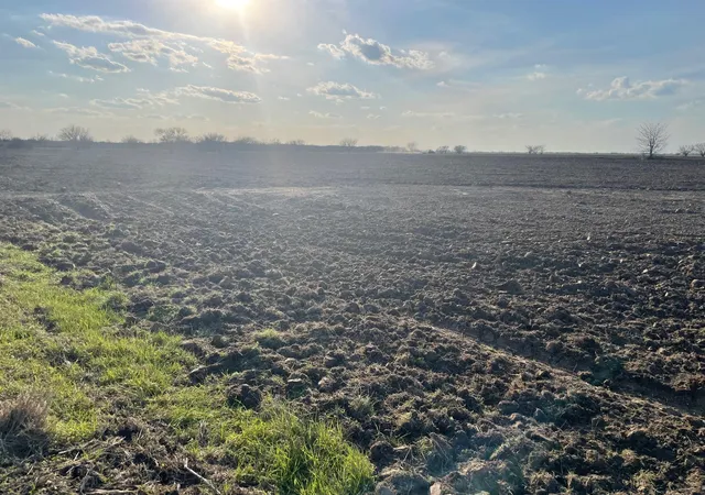 Photo 2 of Land for sale at 0 Orange Hl Rd, Sealy, TX 77474 | MLS# 91025941 | Listing updated on 2026-05-09