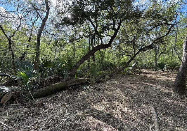 4th image of Tract 2 County Road 332, Sweeny, TX 77480 | MLS# 65027826